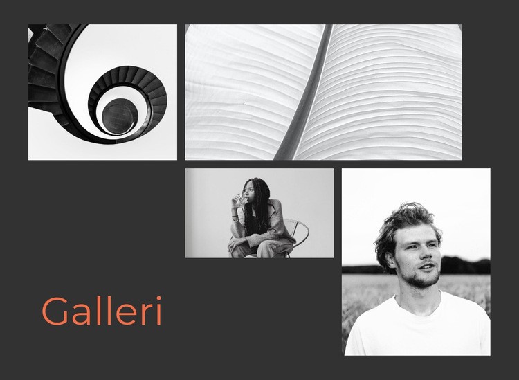 Ovanligt galleri WordPress -tema