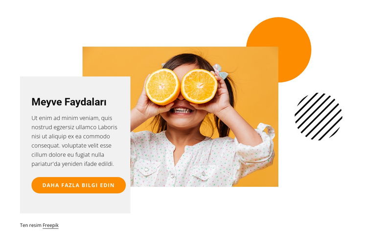 Meyve faydaları WordPress Teması