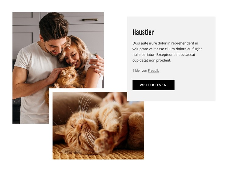 Haustiere Landing Page