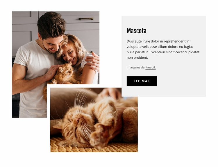 Mascotas de la familia Maqueta de sitio web
