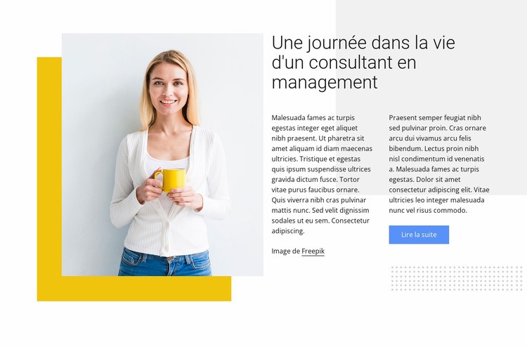 Consultant en gestion Conception de site Web