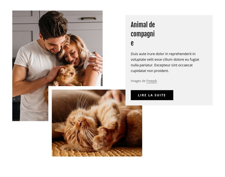 Animaux de compagnie Conception de site Web