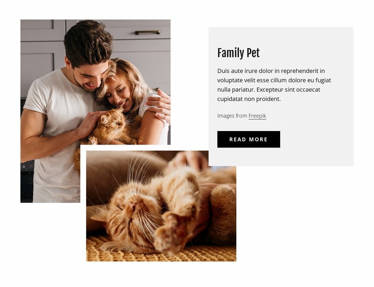 Family pets Homepage Design