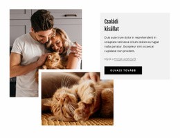 Családi Háziállatok - Egyszerű Kialakítás