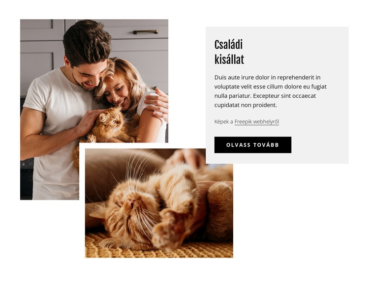 Családi háziállatok Weboldal tervezés