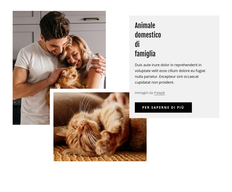 Animali domestici Costruttore di siti web HTML