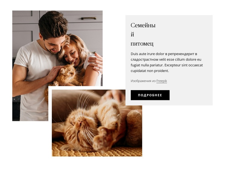 Семейные домашние животные HTML5 шаблон