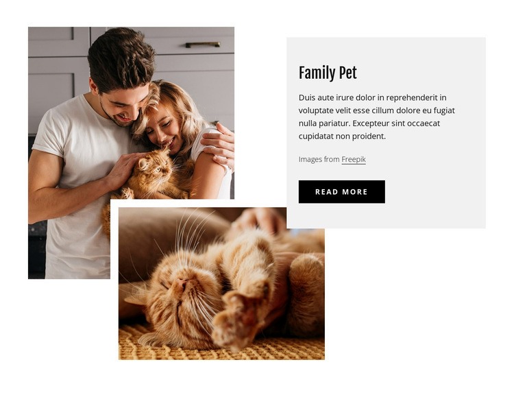 Familj husdjur Html webbplatsbyggare