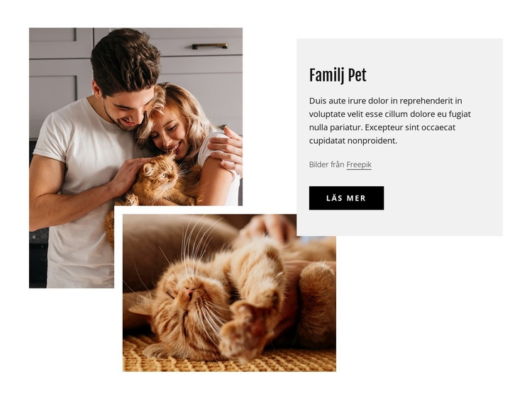 Familj husdjur Webbplats mall