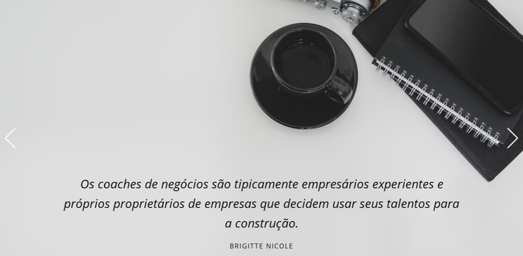 Depoimentos de estúdio de negócios Design do site