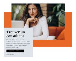 Trouver Un Consultant : Modèle De Site Web D'Une Seule Page