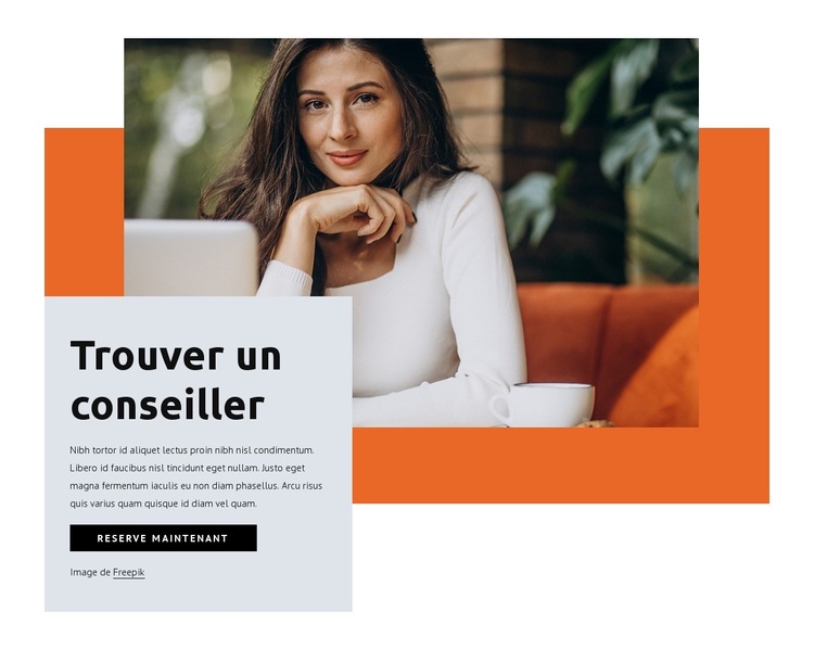Trouver un consultant Thème WordPress