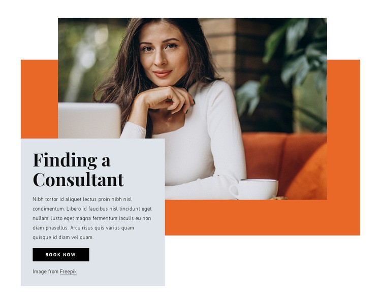 Finding a consultant Homepage Design