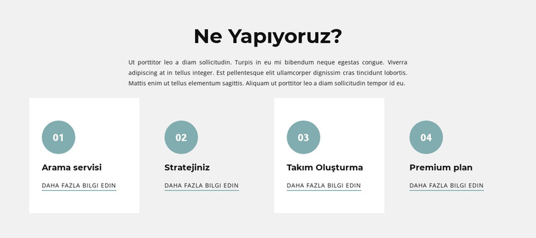 dört seviye WordPress Teması