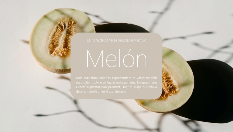 Recetas de melón Plantilla de sitio web