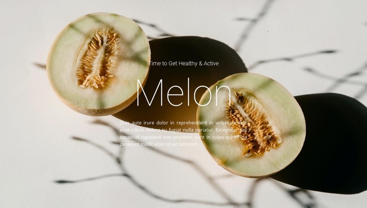 Melon recipes Homepage Design