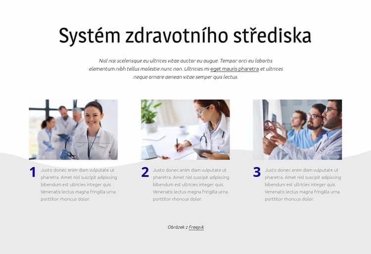 Systém zdravotního střediska Šablona CSS