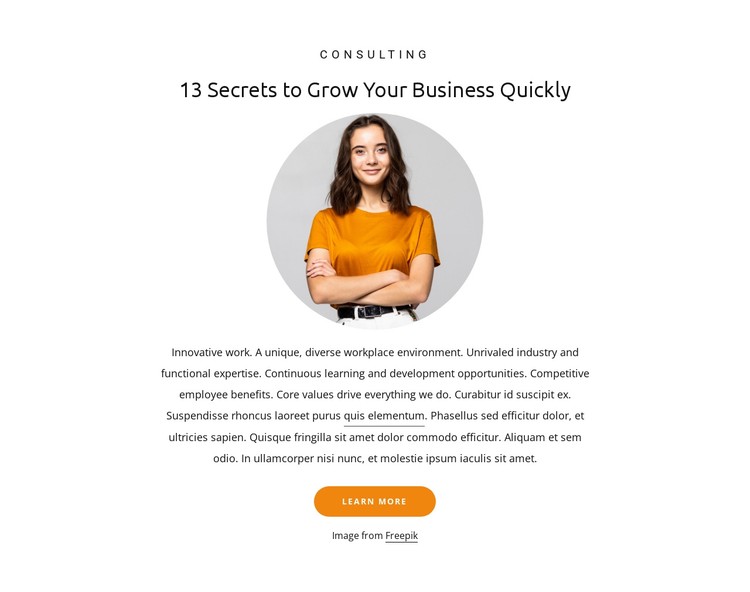 13 Secrets to grow business CSS Template