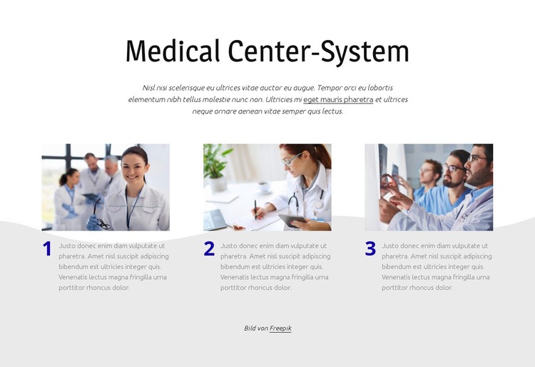 Medizinisches Zentrumssystem Website-Modell