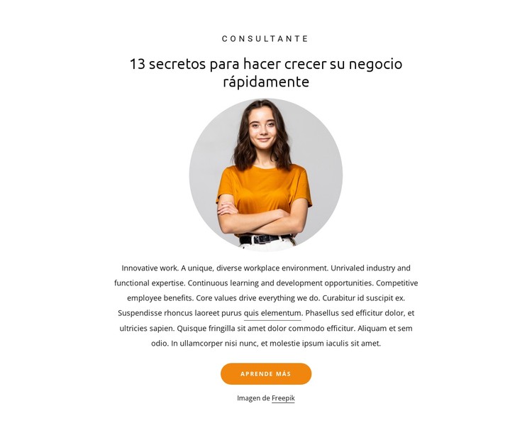 13 secretos para hacer crecer los negocios Plantilla CSS