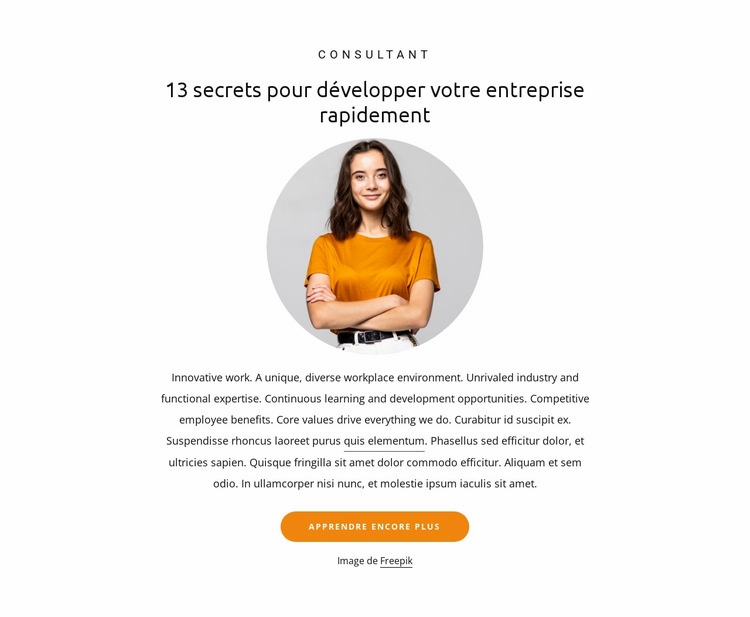 13 secrets pour développer son activité Maquette de site Web