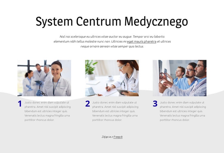 System centrum medycznego Projekt strony internetowej