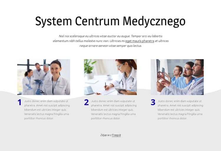 System centrum medycznego Szablon HTML