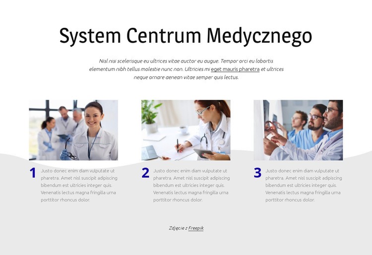 System centrum medycznego Szablon