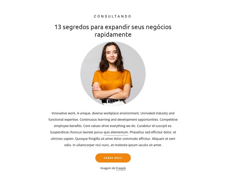 13 segredos para expandir os negócios Template CSS