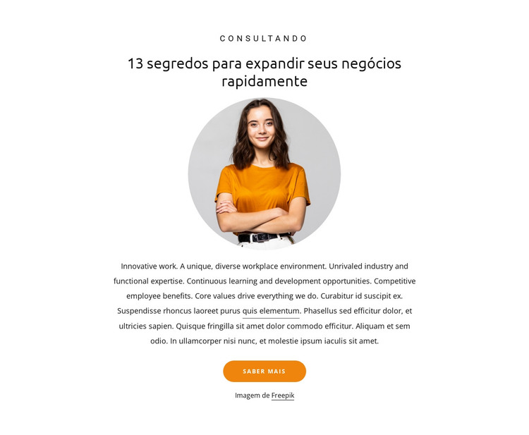 13 segredos para expandir os negócios Modelo HTML