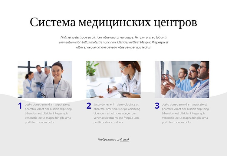 Система медицинских центров Мокап веб-сайта