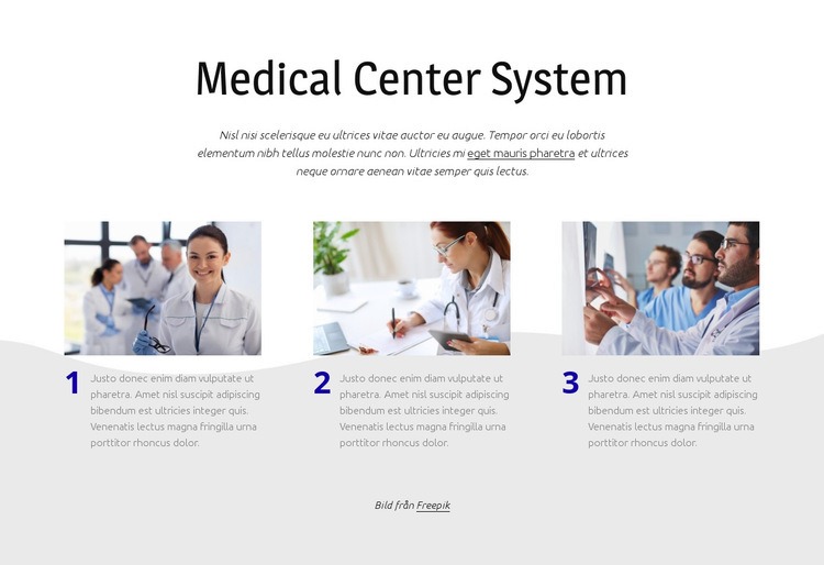 Medicinskt center system Webbplats mall