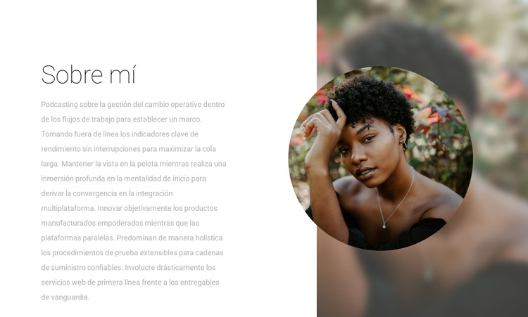 Leer sobre el diseñador Tema de WordPress