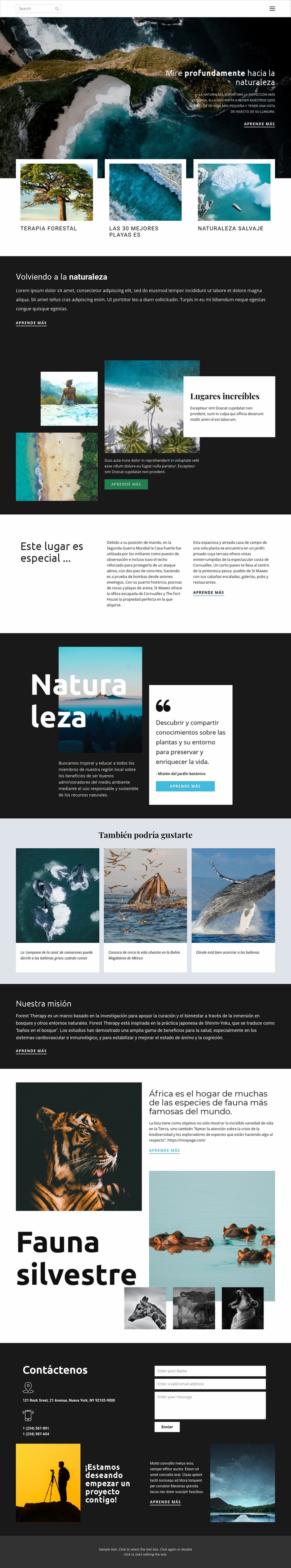 Explorando la vida salvaje y la naturaleza Diseño de páginas web