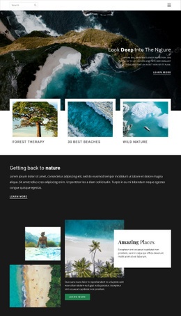 Exploring Wildlife And Nature - Html Code For Inspiration