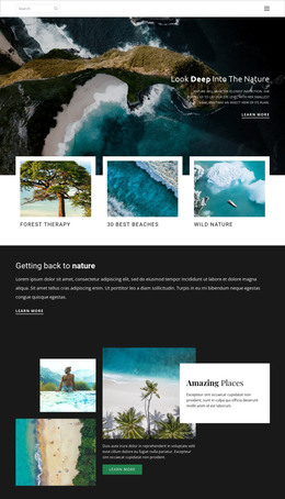 Web Design For Exploring Wildlife And Nature