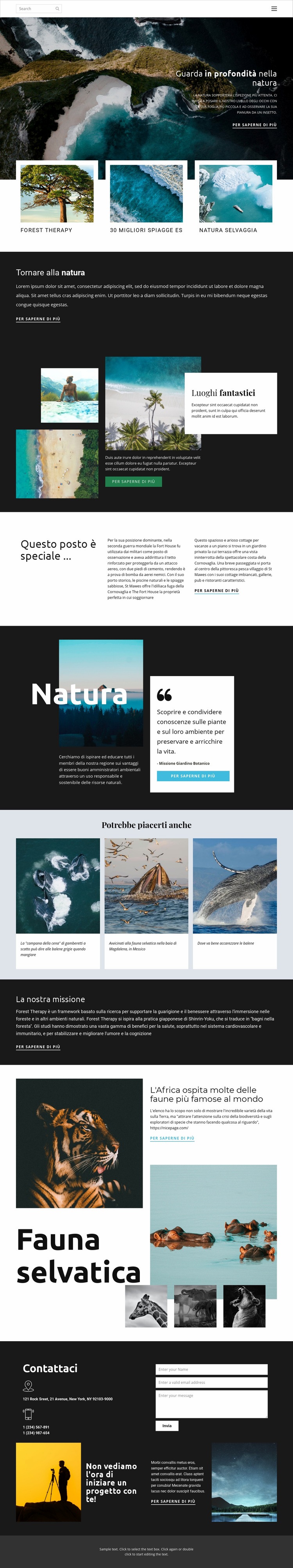 Esplorare la fauna e la natura Progettazione di siti web