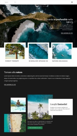 Esplorare La Fauna E La Natura - Modello HTML5 Reattivo