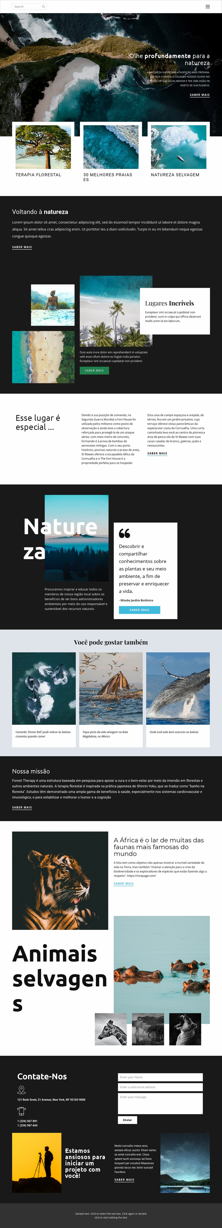 Explorando a vida selvagem e a natureza Template Joomla