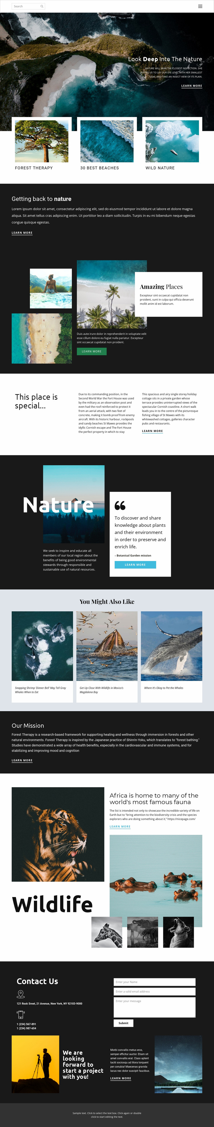 Het verkennen van dieren in het wild en de natuur Website ontwerp