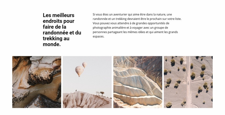 Galerie de voyage Modèles de constructeur de sites Web