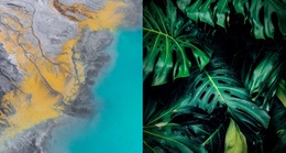 Naturgalerie - Moderne Landingpage