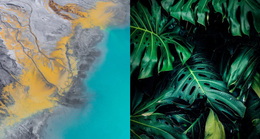 The Best Website Design For Nature Gallery