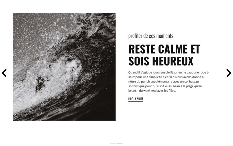 Reste calme et conquiert les vagues Conception de site Web