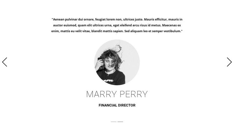 Art studio testimonials Webflow Template Alternative