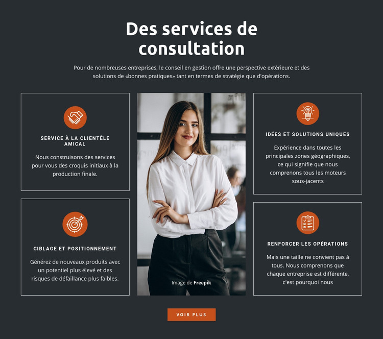 Solutions de conseil Modèle HTML