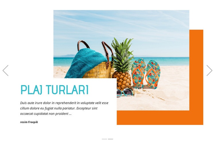 Plaj Turları Web sitesi tasarımı