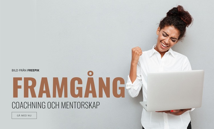 Framgångscoaching CSS -mall