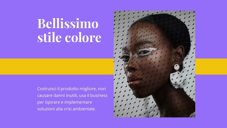 Bellissimo stile di colore Costruttore di siti web HTML