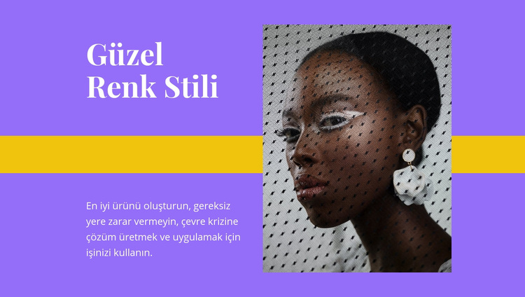 Güzel renk stili WordPress Teması